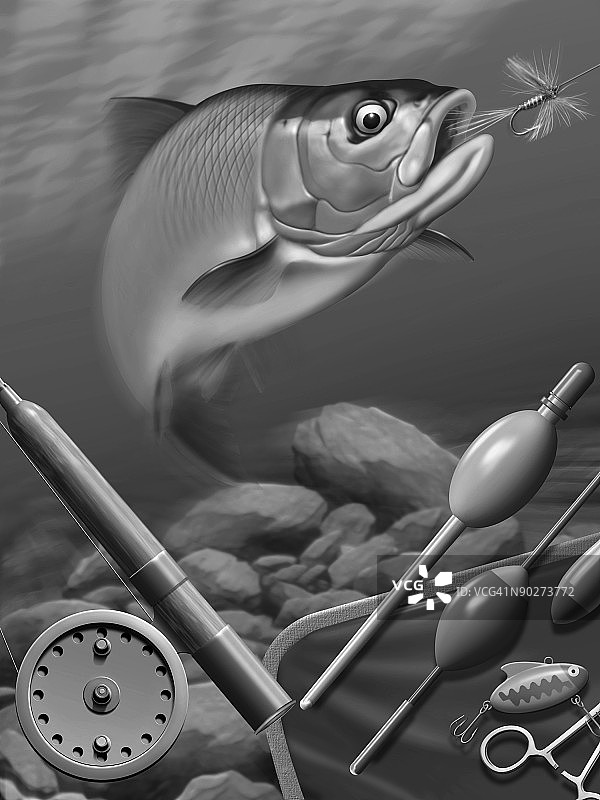 湖中鱼的特写镜头图片素材