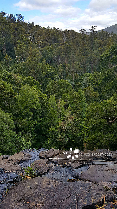 塔斯马尼亚菲尔德山国家公园罗素瀑布上方森林图片素材