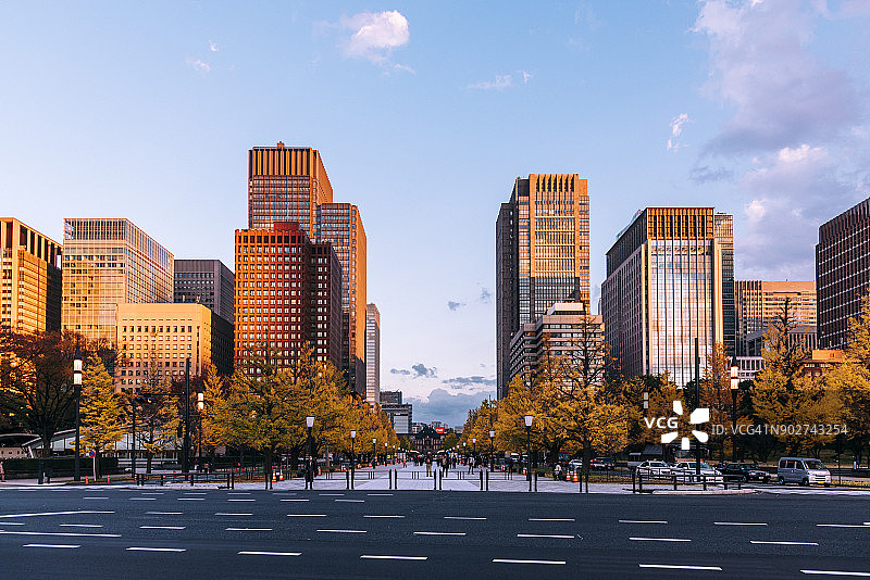 御花园的秋叶图片素材