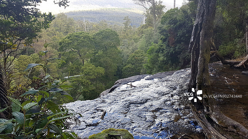 塔斯马尼亚菲尔德山国家公园罗素瀑布上方森林图片素材