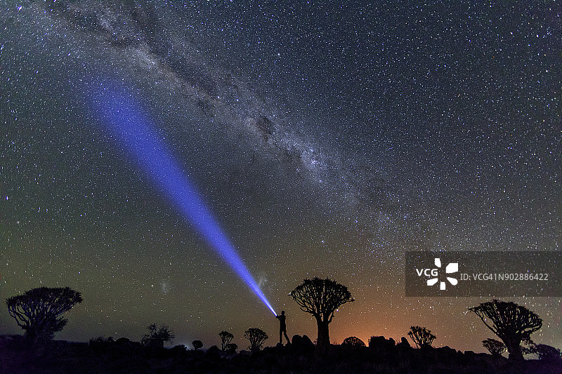夜间银河系的广角视图，以箭袋树为剪影，一个人用手电筒照向天空图片素材