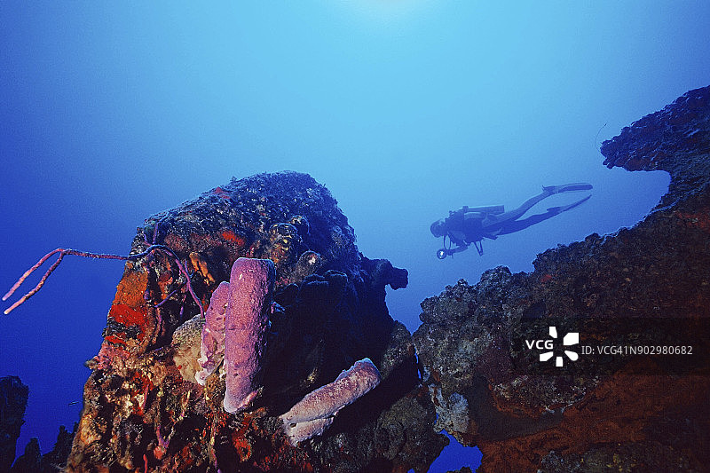 巴哈马群岛的潜水员图片素材