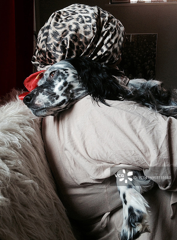 英国塞特犬拥抱戴头巾的女人图片素材