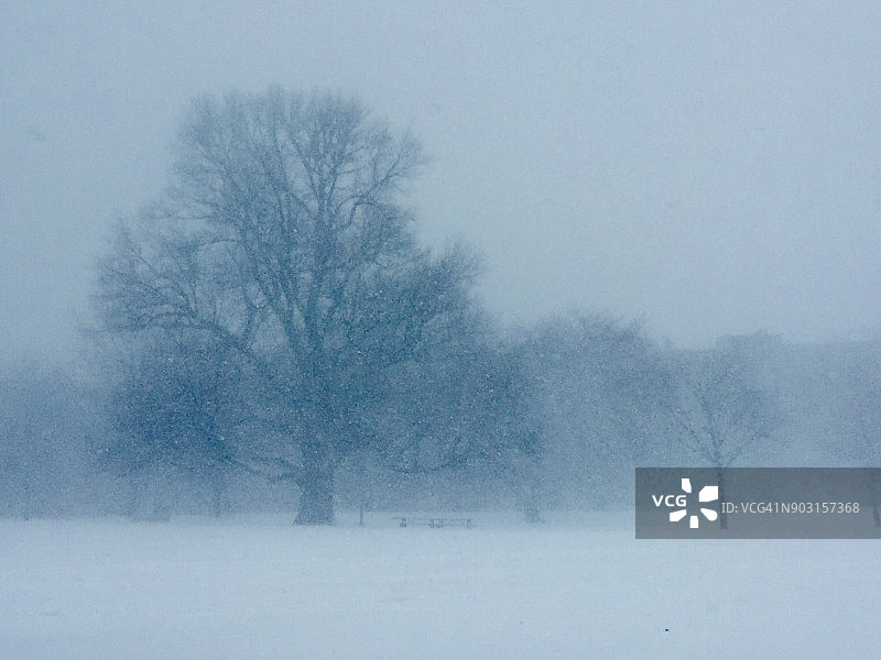 白色的风景图片素材