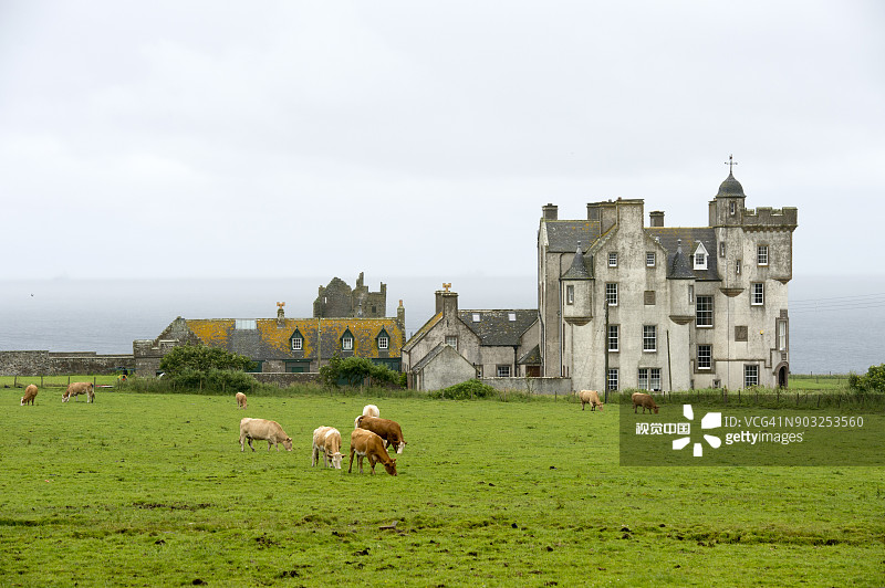 乡村景色与新城堡图片素材