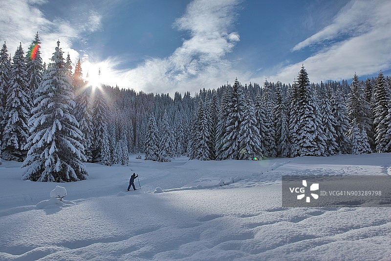 冬日阳光下，男孩在雪松间享受冬季运动图片素材