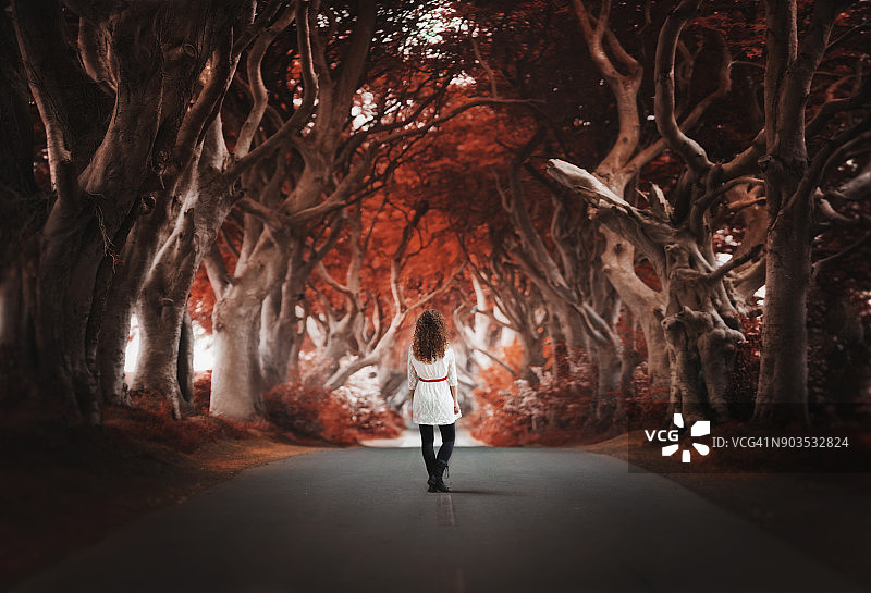 年轻女子身穿白裙站在北爱尔兰黑暗树篱的狭窄道路上图片素材