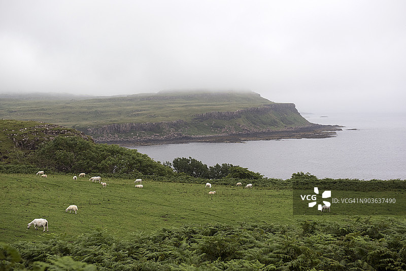 苏格兰马尔岛阿赫莱克的乡村风光图片素材