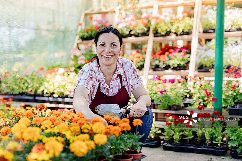为夏季花园种植花卉图片素材