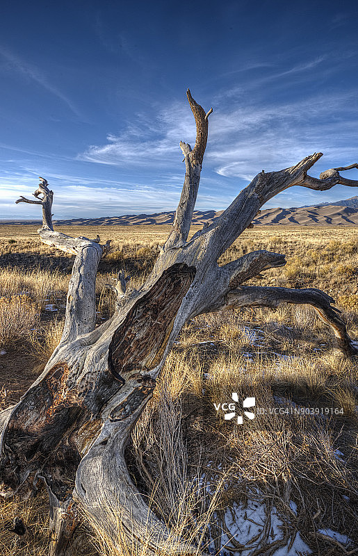 田野中的木桩图片素材