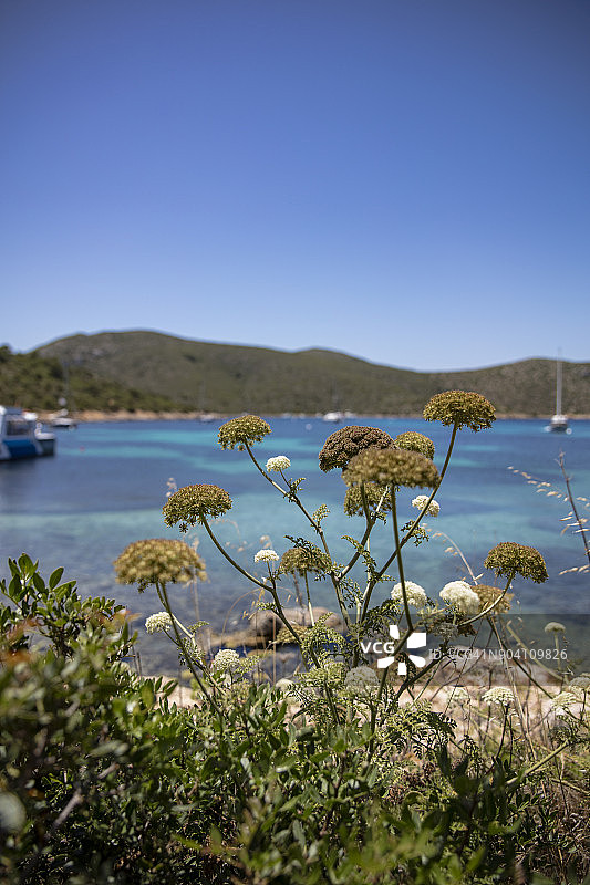 巴利阿里群岛卡夫雷拉岛图片素材