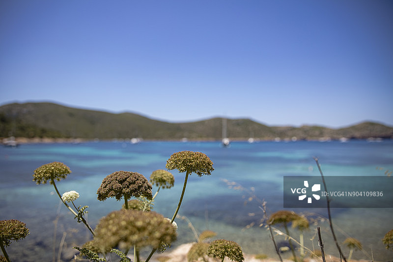 巴利阿里群岛卡夫雷拉岛图片素材
