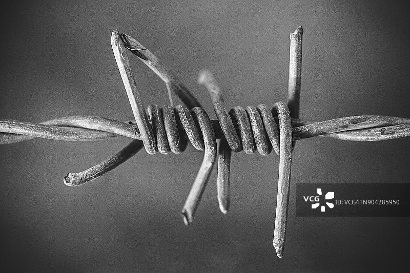 铁丝网图片素材