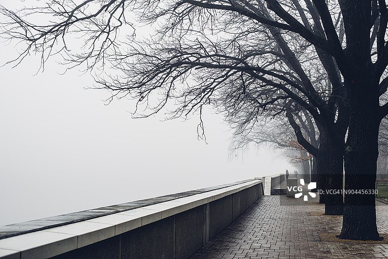 雾蒙蒙的早晨，蒂萨河堤岸和裸露的树木图片素材
