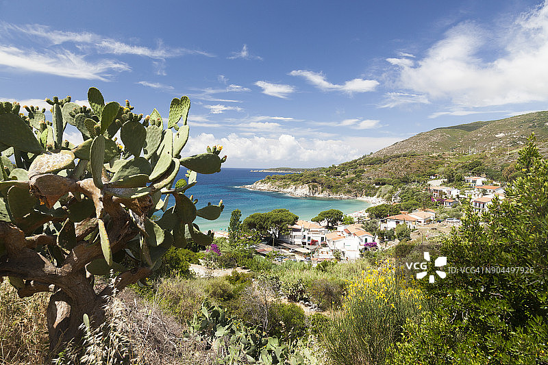仙人掌果，厄尔巴岛，意大利图片素材