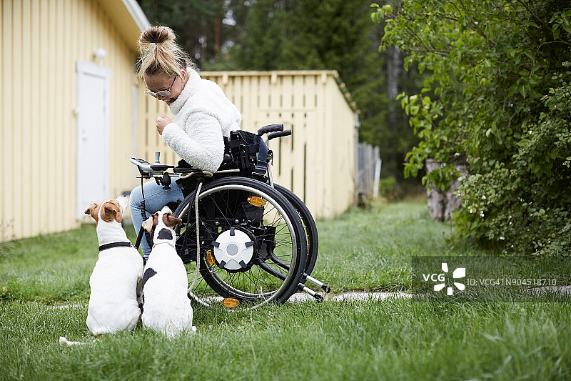 坐在轮椅上的残疾年轻女子在院子里看着小狗图片素材
