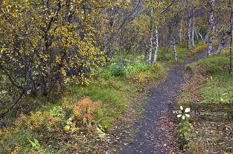 米湖自然漫步图片素材