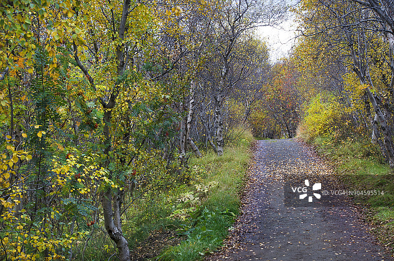米湖自然漫步图片素材