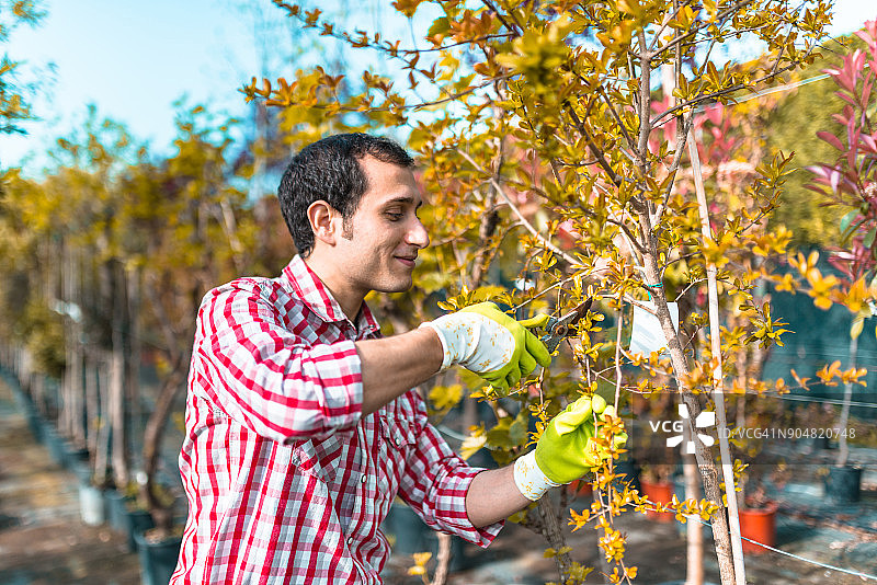 男人修剪树枝图片素材
