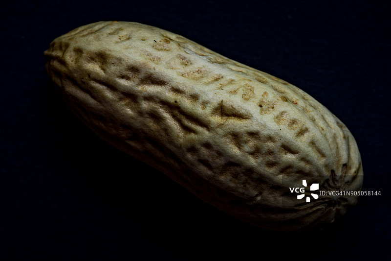 暗黑模式下的单颗花生图片素材