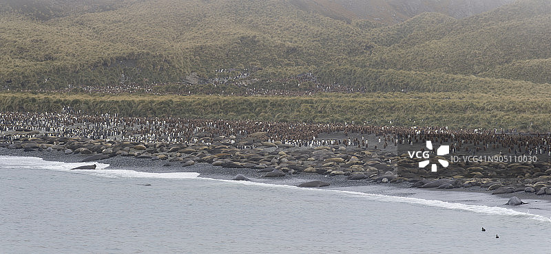 黄金港图片素材