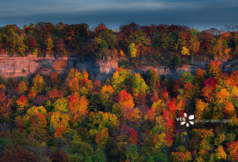 跨界树景图片素材