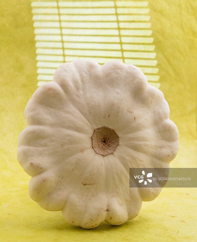 头巾南瓜图片素材