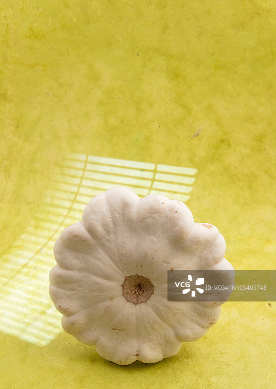 头巾南瓜图片素材