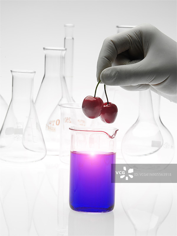 白人科学家将樱桃放入紫色液体图片素材