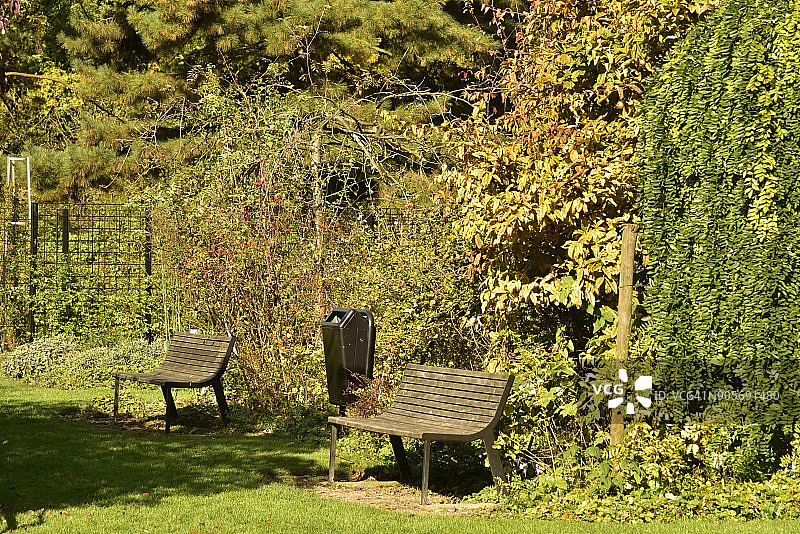 秋季植被旁边的两个长椅和垃圾桶图片素材