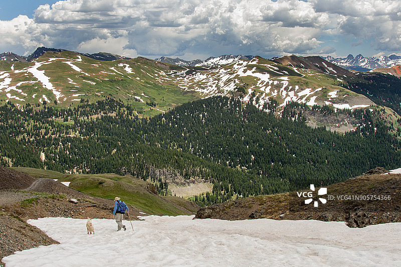 带狗穿越山区雪地图片素材