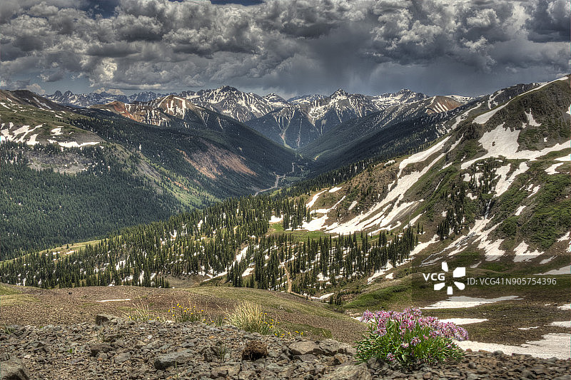 粉色花朵与山间风暴图片素材