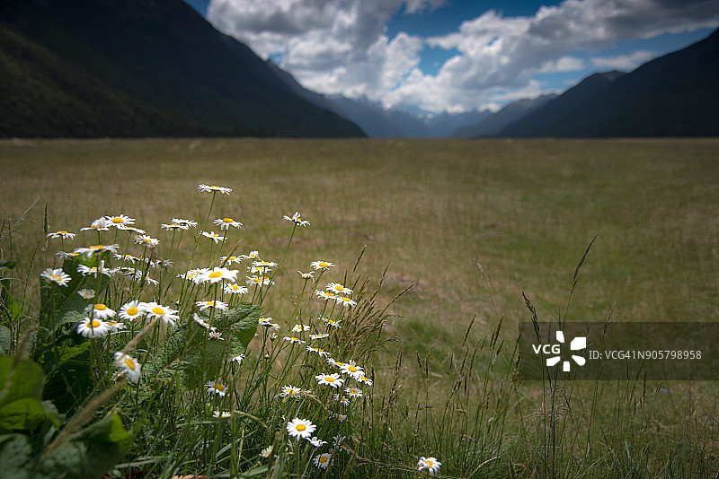 新西兰夏季的埃格林顿山谷和蓝天图片素材