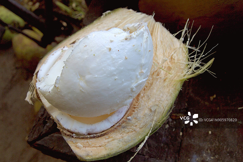 新鲜白色椰子肉图片素材