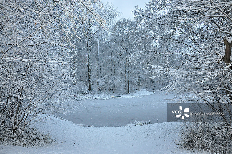 白色景观：乡村雪地池塘图片素材