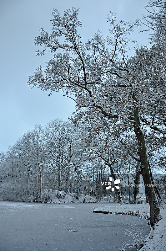 白色景观：乡村雪地池塘图片素材
