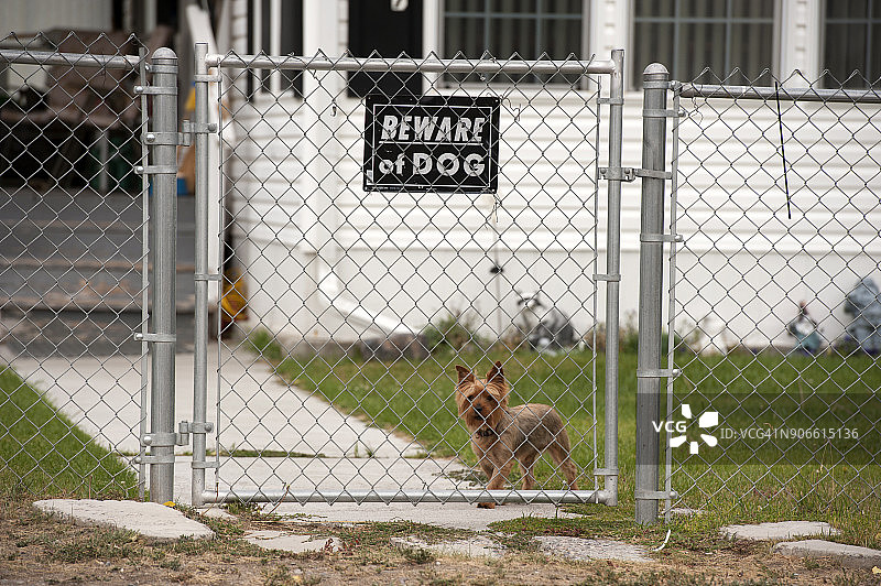 当心恶犬标志图片素材