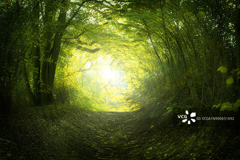 夏日奇幻小路图片素材