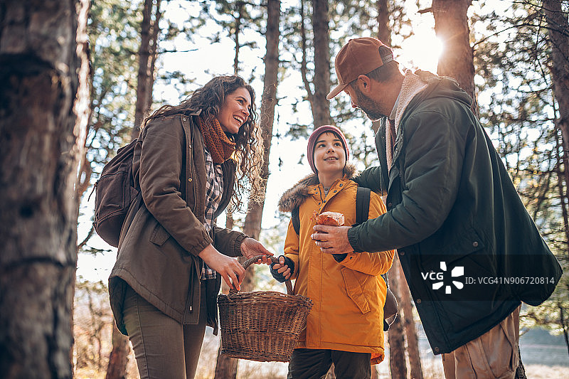 家庭采蘑菇图片素材