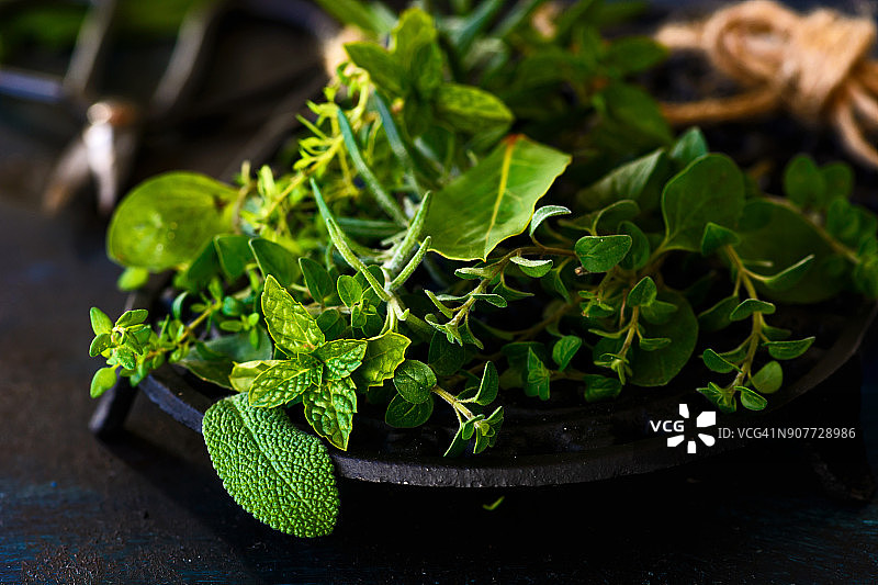 各种新鲜草药图片素材