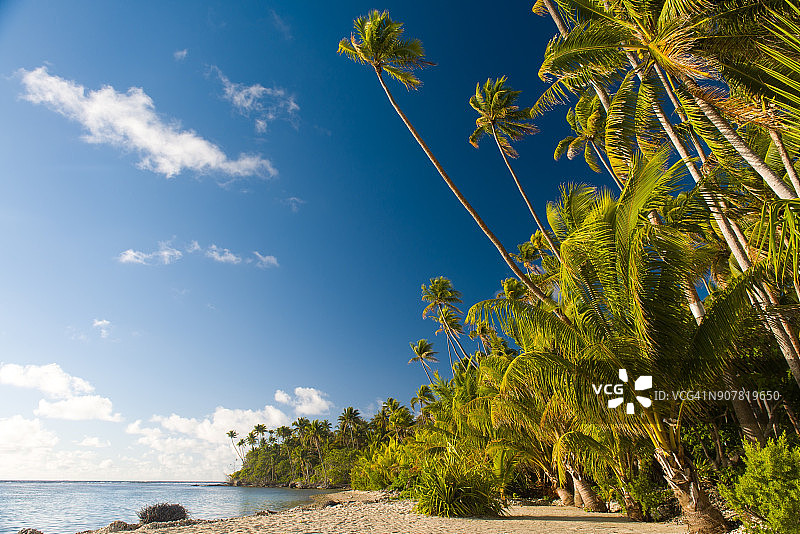 法属波利尼西亚，华欣岛上的热带天堂图片素材