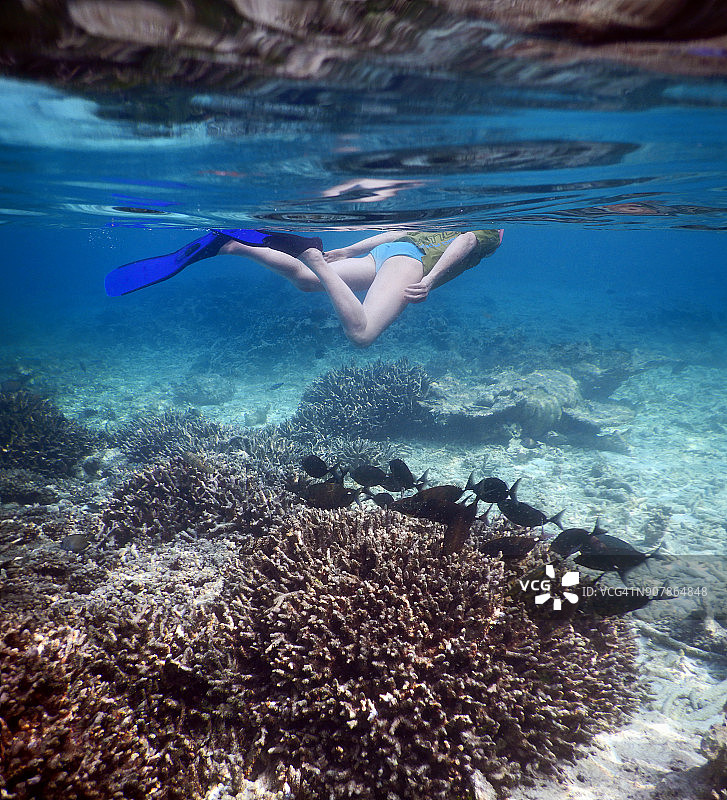 年长的男人在黑刺尾鱼中浮潜图片素材