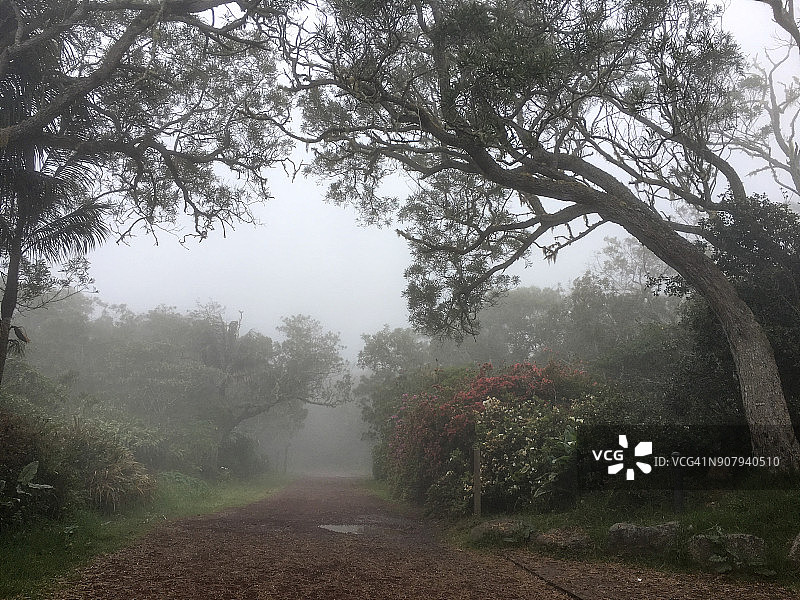 留尼汪岛贝卢夫图片素材