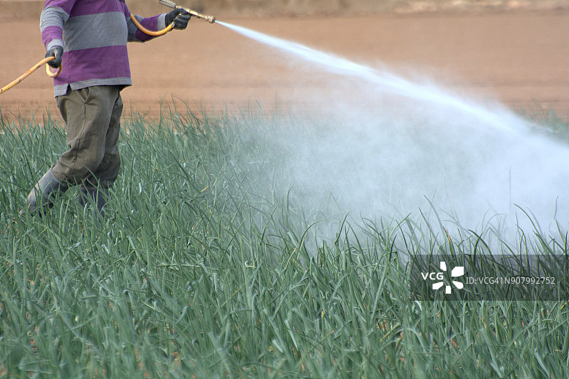 洋葱田的粉碎作业图片素材