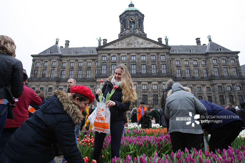 荷兰阿姆斯特丹国家郁金香日图片素材