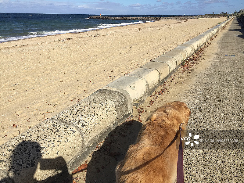 布莱顿海滩图片素材