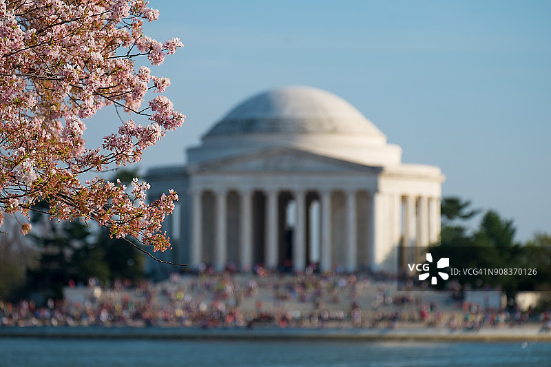 华盛顿特区樱花节期间的杰斐逊纪念堂图片素材