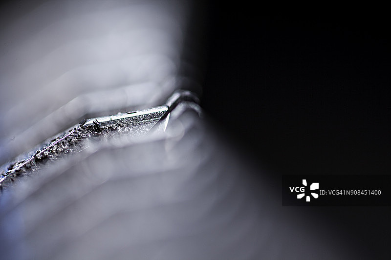 近距离观察图片素材