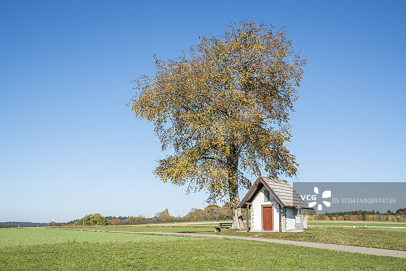 秋树下的小教堂，德国巴登-符腾堡州图片素材