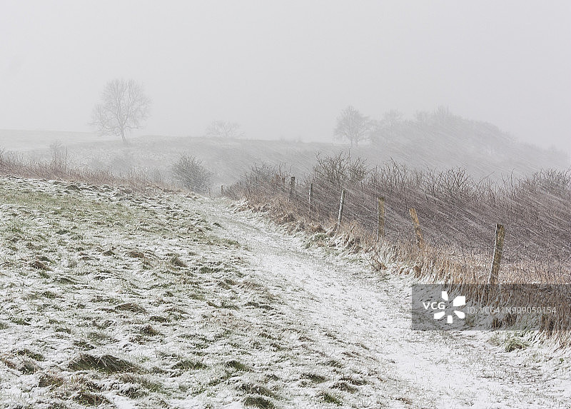 冬季的邓斯特布尔丘陵图片素材